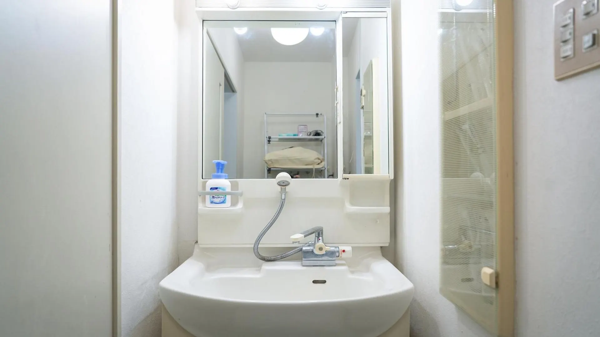 Skyview Serenity Duplex Shinjuku Tokyo Apartment
